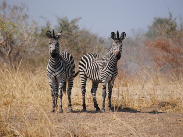 Malawi & Zambia culture and nature tour