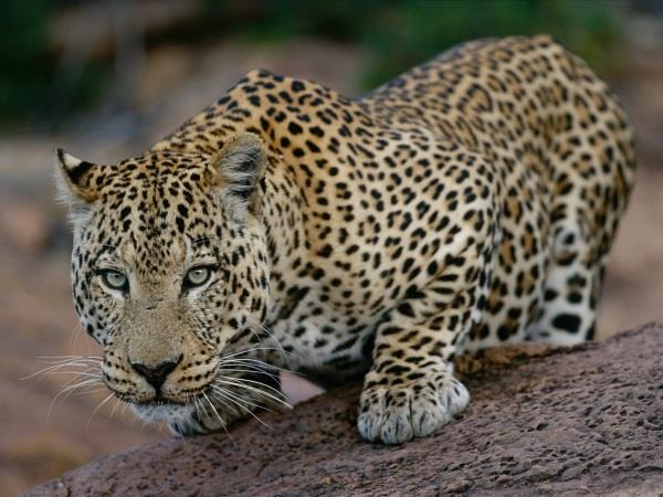 Namibia small group guided holiday and safari