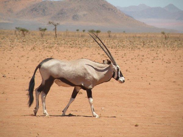 Namibia small group guided holiday and safari