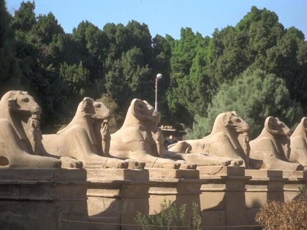 Egypt Nile and Red Sea Tours