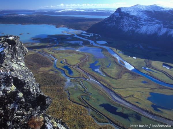 Sweden wilderness holiday, Moose expedition