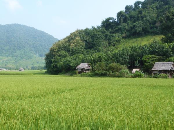 Laos holidays, tailor made