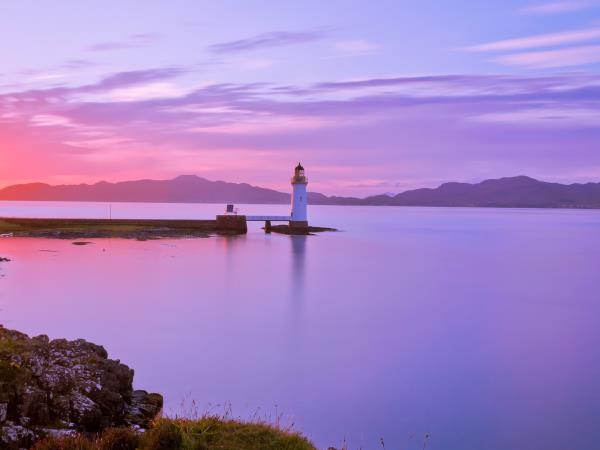 Wildlife holiday in the Isle of Mull, Scotland