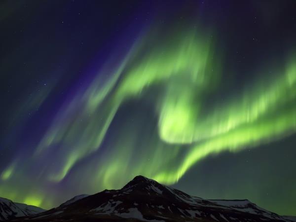 Northern Lights and wildlife holiday in Swedish Lapland