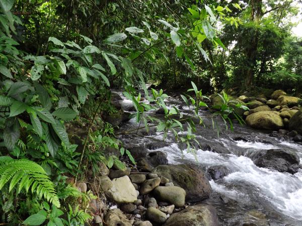 Costa Rica highlights holiday