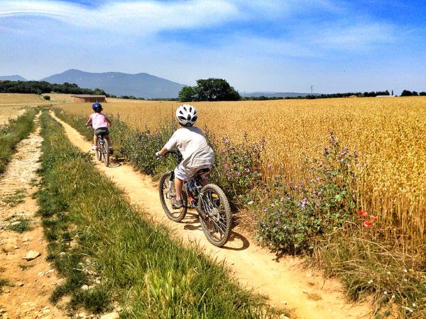 cycling holidays with families