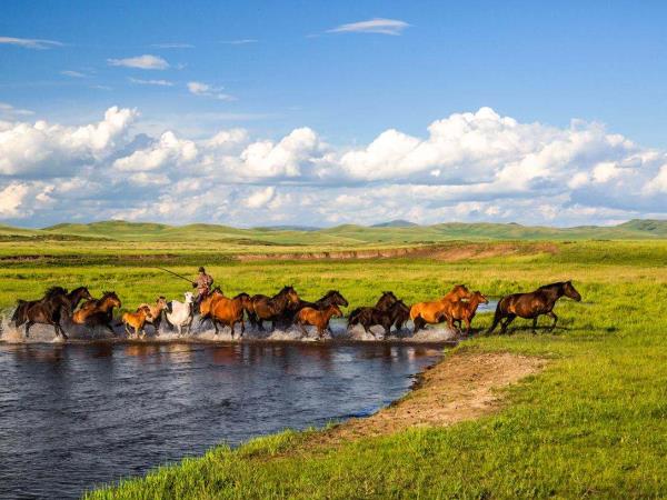 Inner Mongolia horse riding tour, China | Responsible Travel