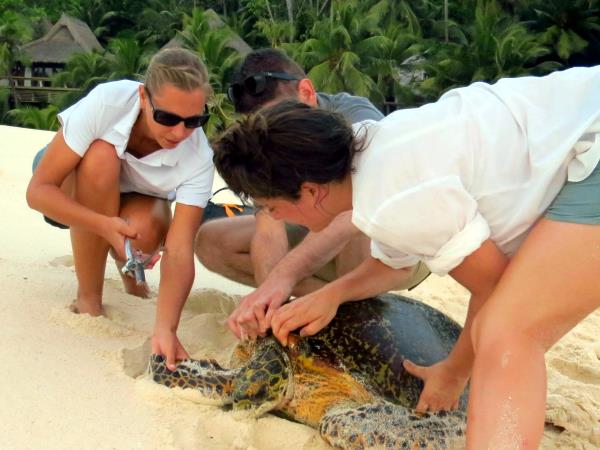 Seychelles conservation holiday