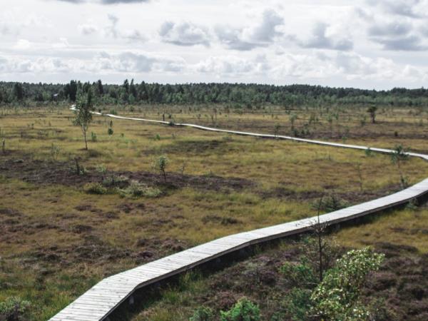 Self guided cycling holiday in Lithuania