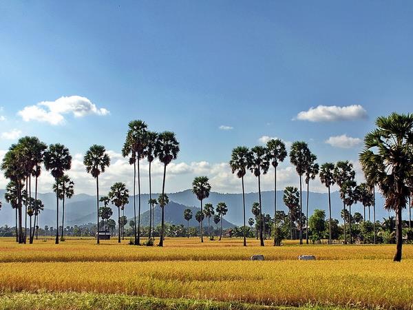 Cambodia holiday, beyond Angkor | Responsible Travel