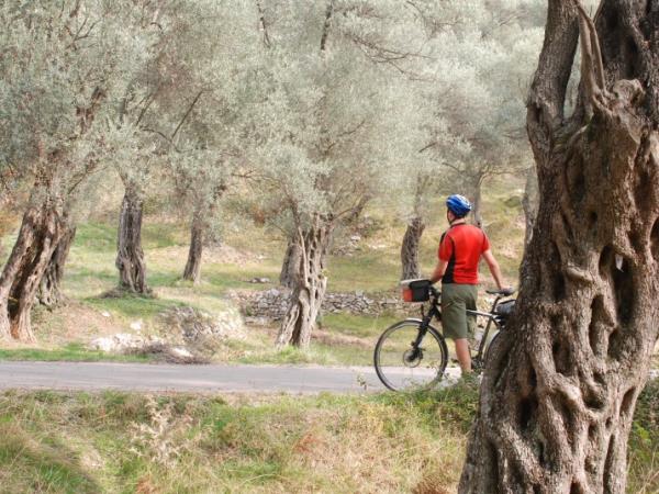 Self guided cycling holiday in Montenegro