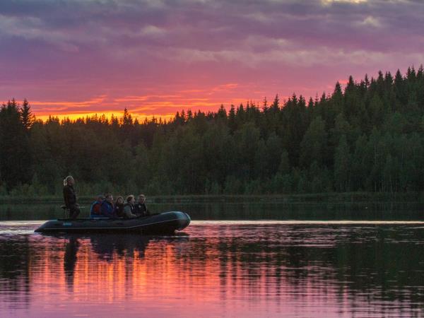 Sweden holidays, Wolves, Moose and Beavers