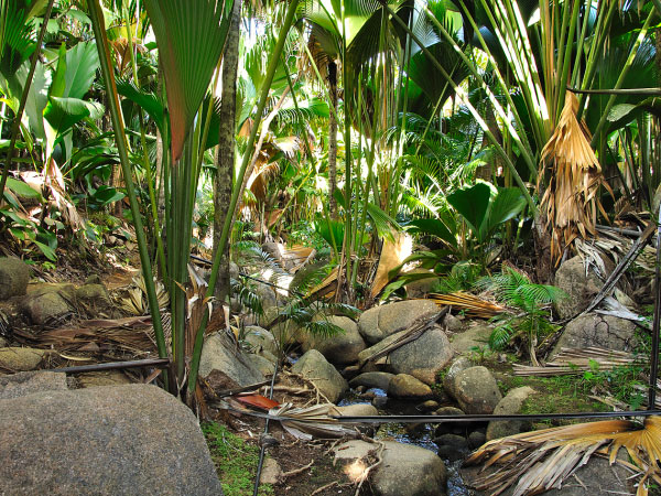 Seychelles island hopping holiday