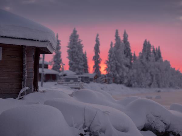 Husky safari in Finland