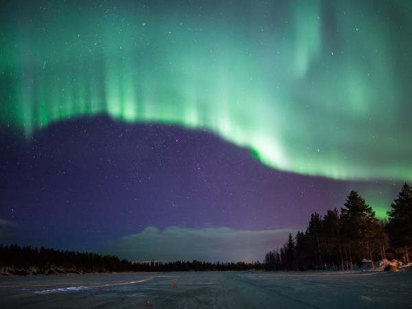 Husky safari in Finland