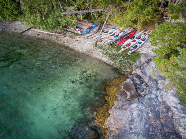 Johnstone Strait kayaking expedition in Canada