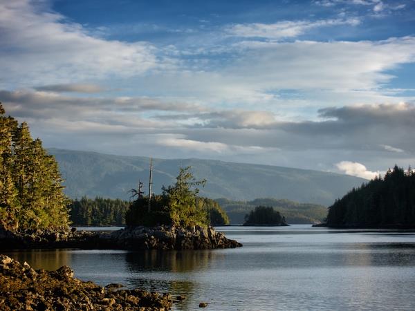 Johnstone Strait kayaking expedition in Canada