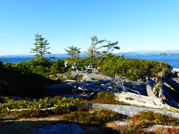 Johnstone Strait kayaking expedition in Canada