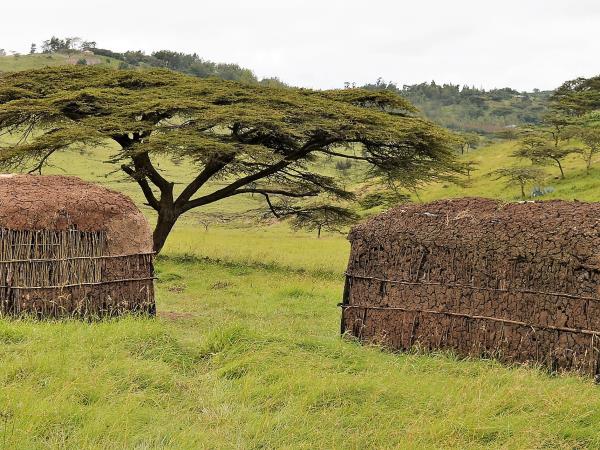 Kenya cultural safari, all things Maasai