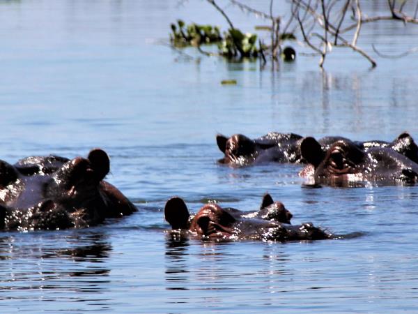 Kenya cultural holidays, insights of Kenyan life