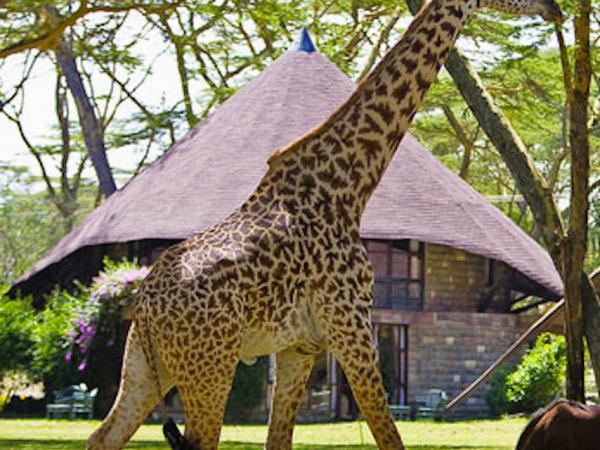 Kenya cultural holidays, insights of Kenyan life