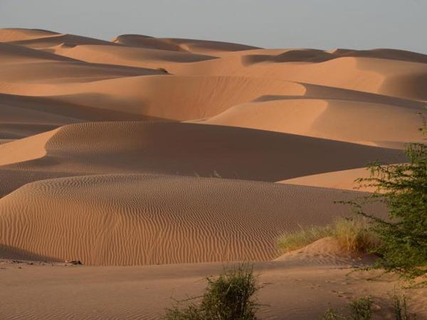 Mauritania holiday, desert adventure