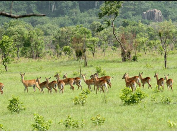 Ghana culture and festivals holiday