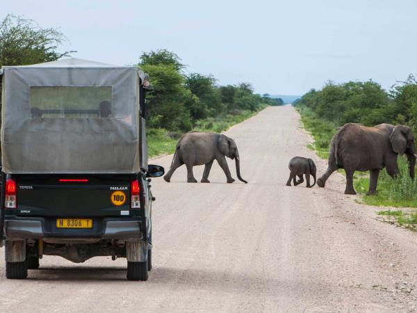 Namibia small group guided holiday and safari