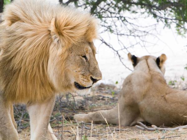 Namibia small group guided holiday and safari