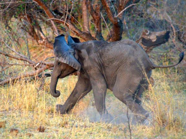 Namibia tours under canvas, small group safari