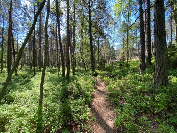 Stockholm archipelago walking holiday