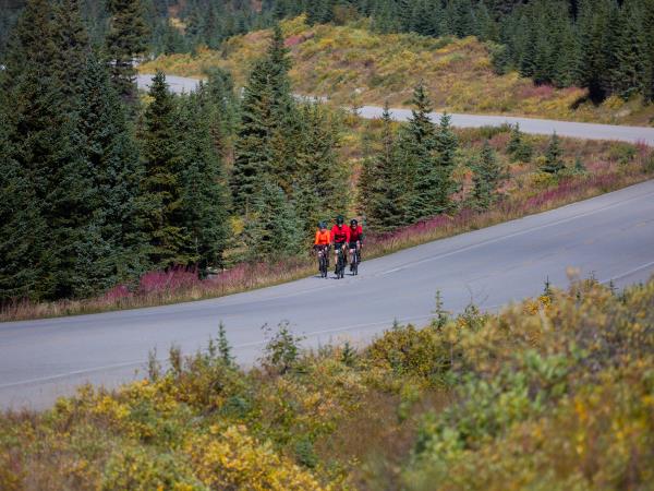 Jasper to Banff cycling tour in Canada