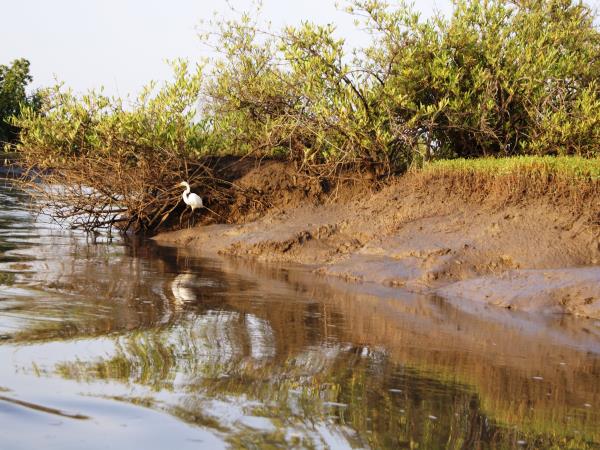 West Africa river cruise holiday