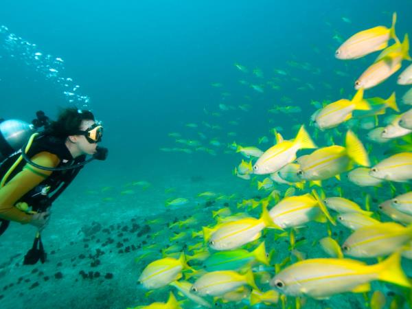 Seychelles small ship cruise, 8 days