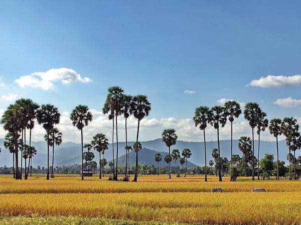 Cambodia holiday, beyond Angkor | Responsible Travel