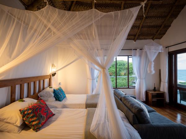 Mozambique marine safari and beach holiday