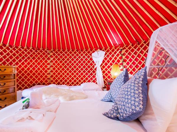 Eco yurt in Lanzarote