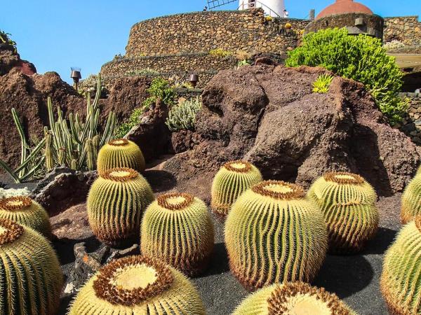 Canary Islands to Madeira sailing holiday