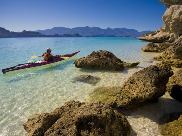 Baja kayaking and whale watching holiday