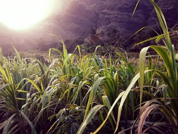 Cape Verde culture and walking holiday