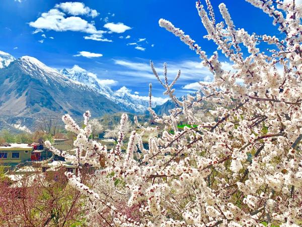 Women only tour in Hunza, Pakistan