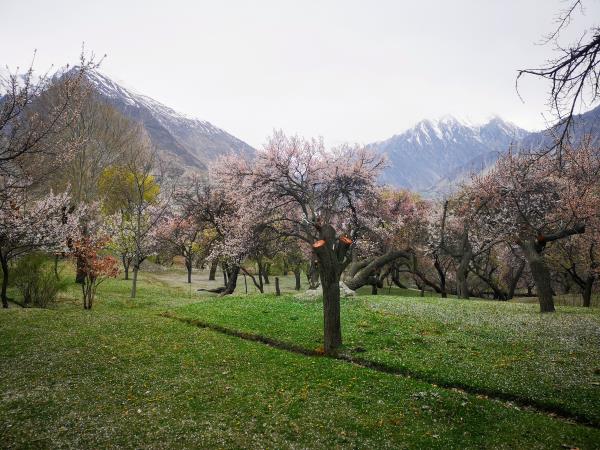 Women only tour in Hunza, Pakistan