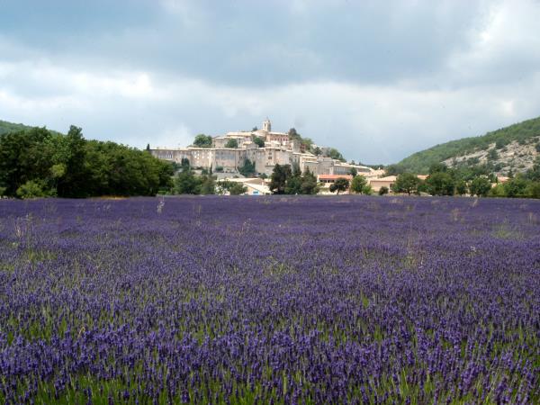 Upper Provence walking holiday in France