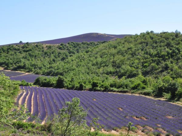 Upper Provence walking holiday in France