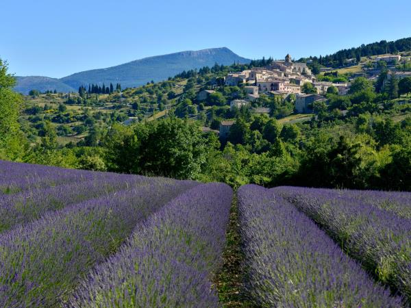 Upper Provence walking holiday in France