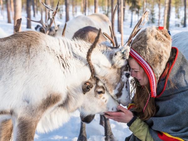 Northern Lights and wildlife holiday in Swedish Lapland