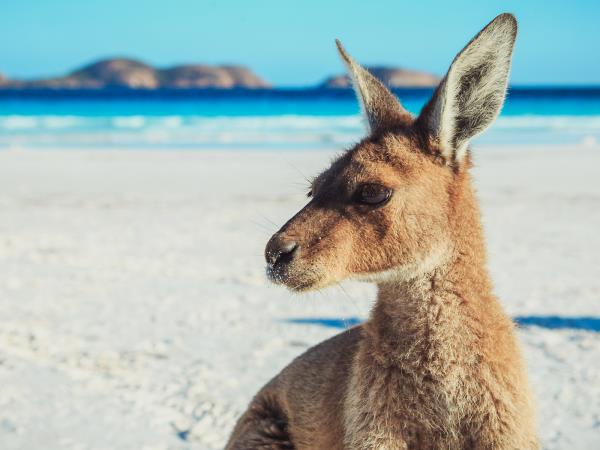 Western Australia adventure tour