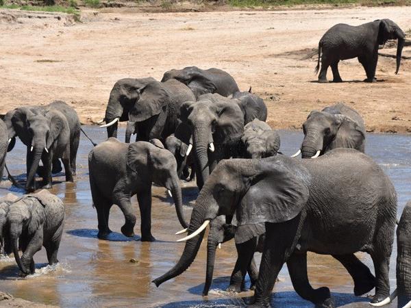 Mozambique wildlife and nature tour