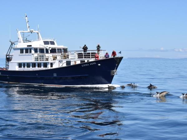 Luxury cruise of Southern Hebrides 