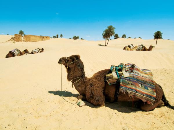 Tunisia small group holiday